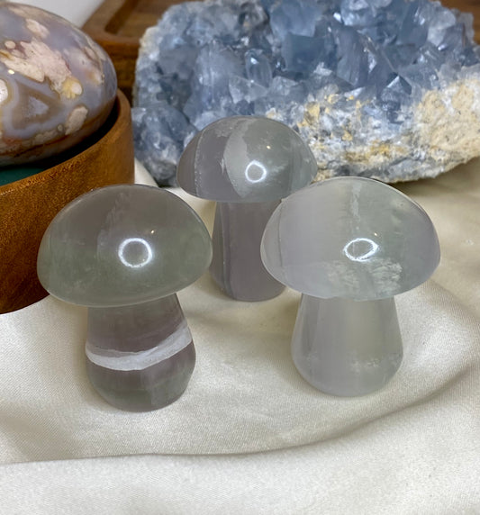 Lavendel fluorit svamp