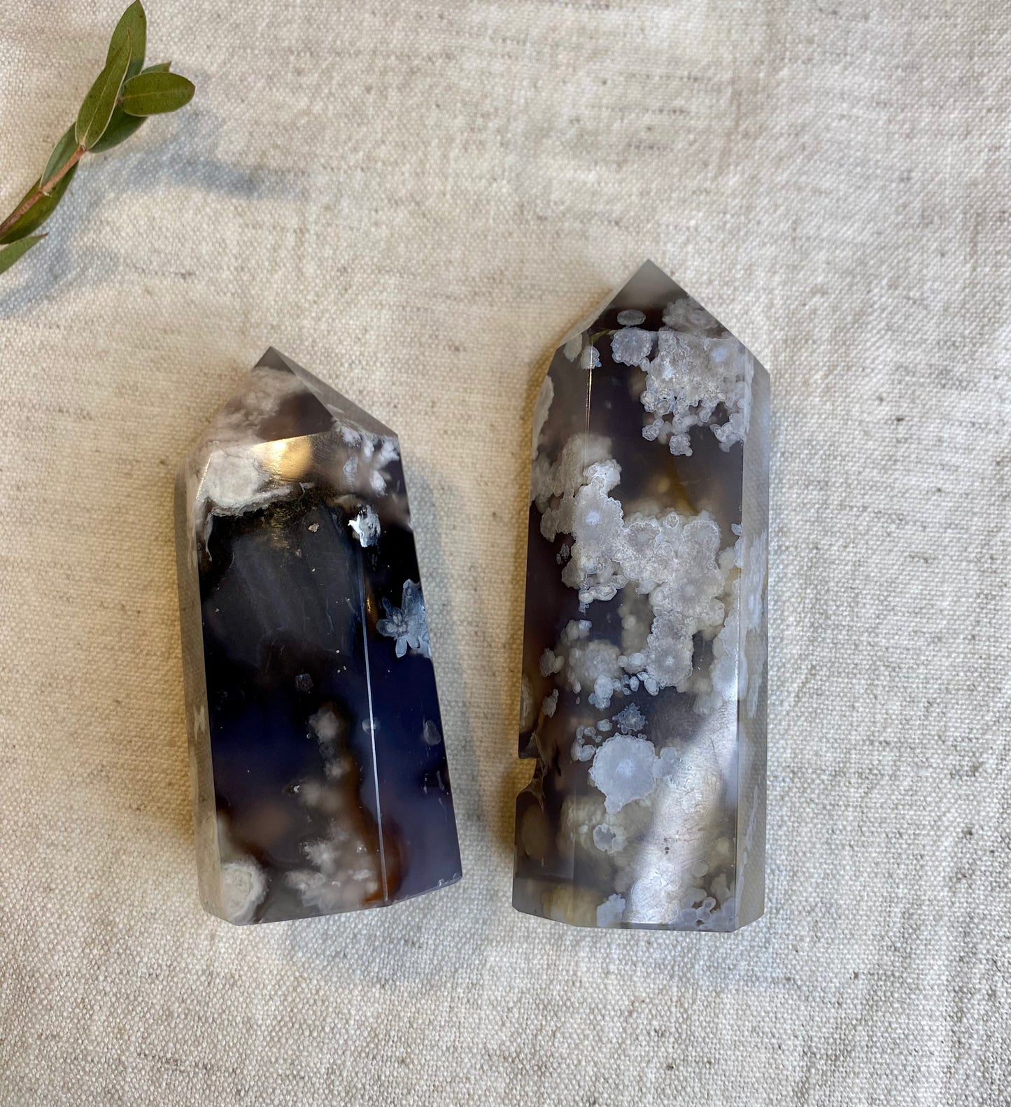 Svart blomsteragat torn